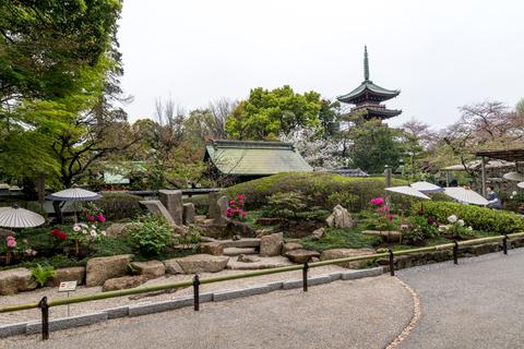 Ueno Toshogu Peony Garden