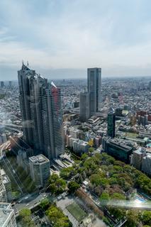 From the top of the Tokyo Metropolitan Government Building