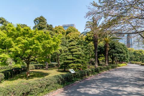 The Imperial Palace Gardens