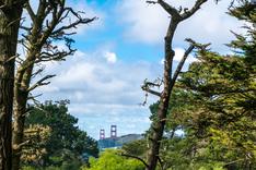 View over the Golden Gate Bridge from Strawberry Hill