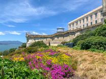 Alcatraz also has some nice gardens